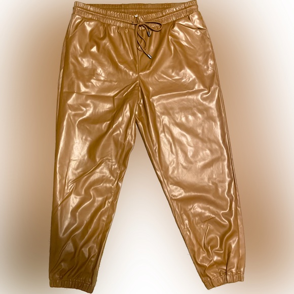 Nine West Womens Pull on Jogger Mid-Rise Pull-On Faux-Leather Pants Size XL New - Picture 2 of 6